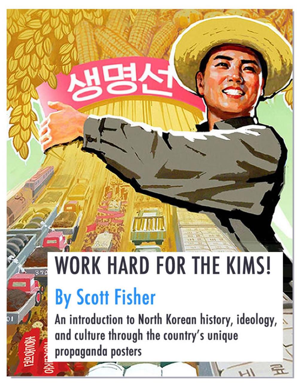 Big bigCover of WORK HARD FOR THE KIMS!