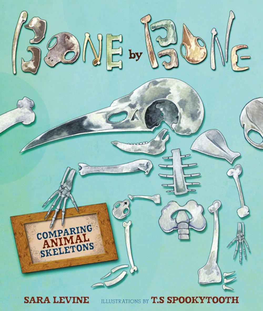 Big bigCover of Bone by Bone