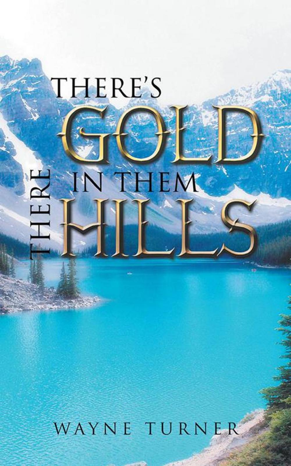 Big bigCover of There's Gold in Them There Hills