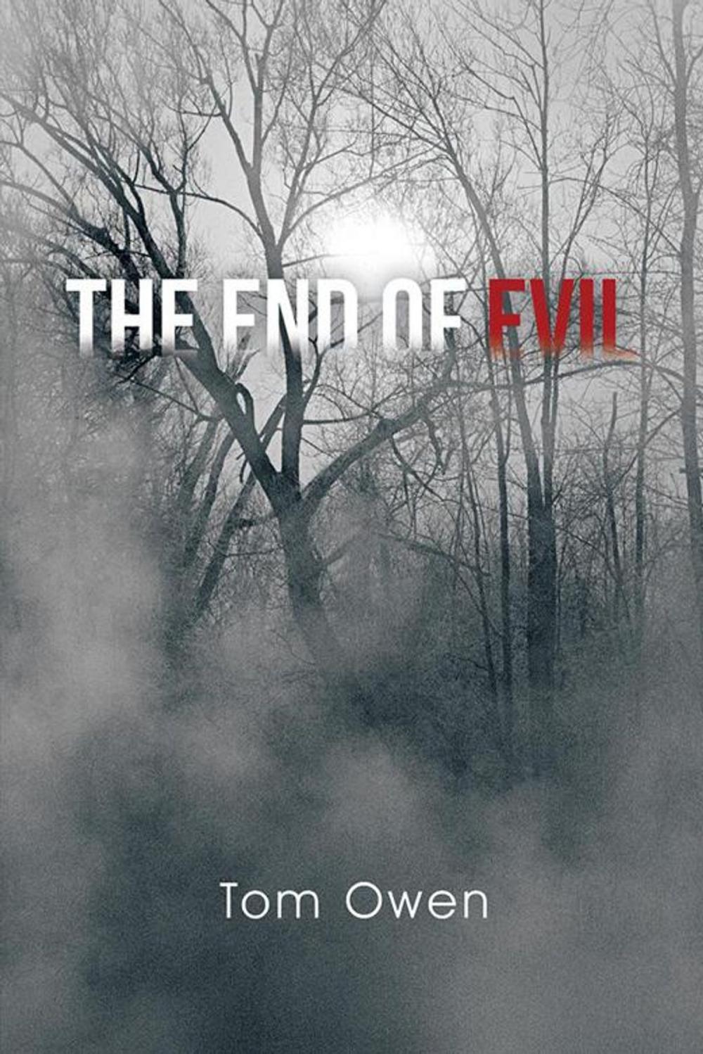 Big bigCover of The End of Evil