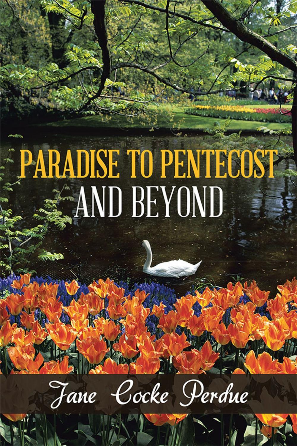 Big bigCover of Paradise to Pentecost and Beyond