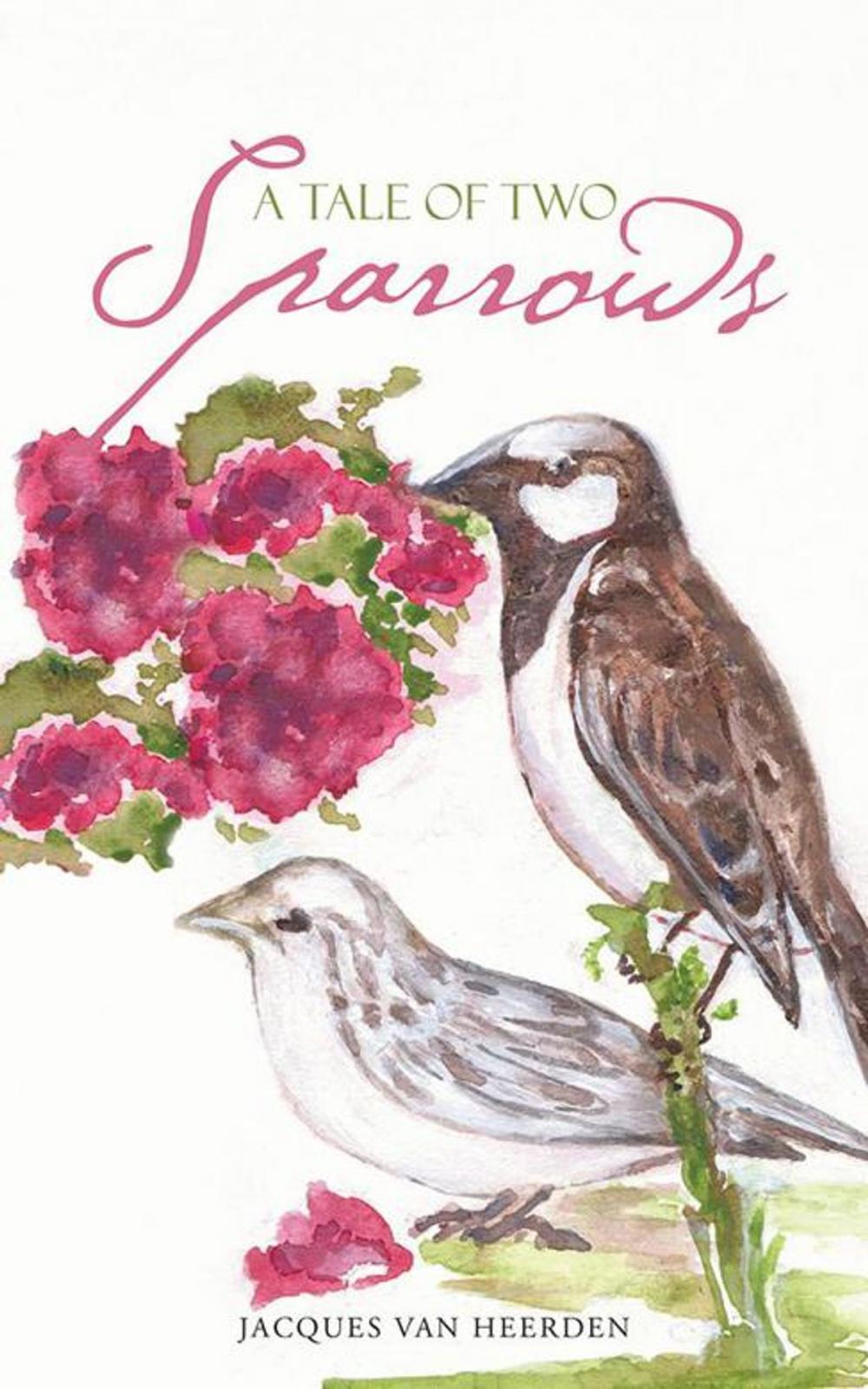 Big bigCover of A Tale of Two Sparrows