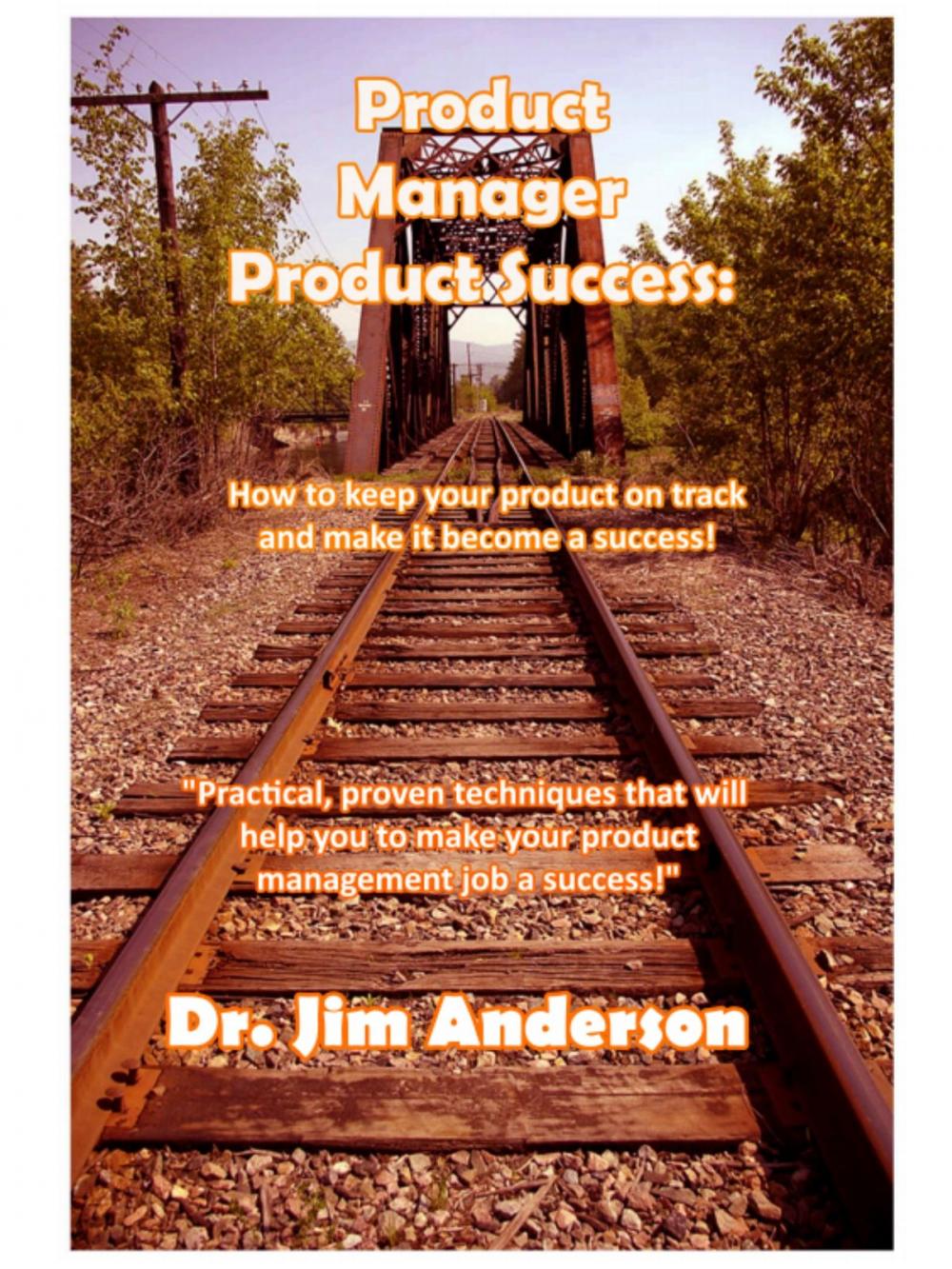 Big bigCover of Product Manager Product Success: How To Keep Your Product On Track And Make It Become A Success