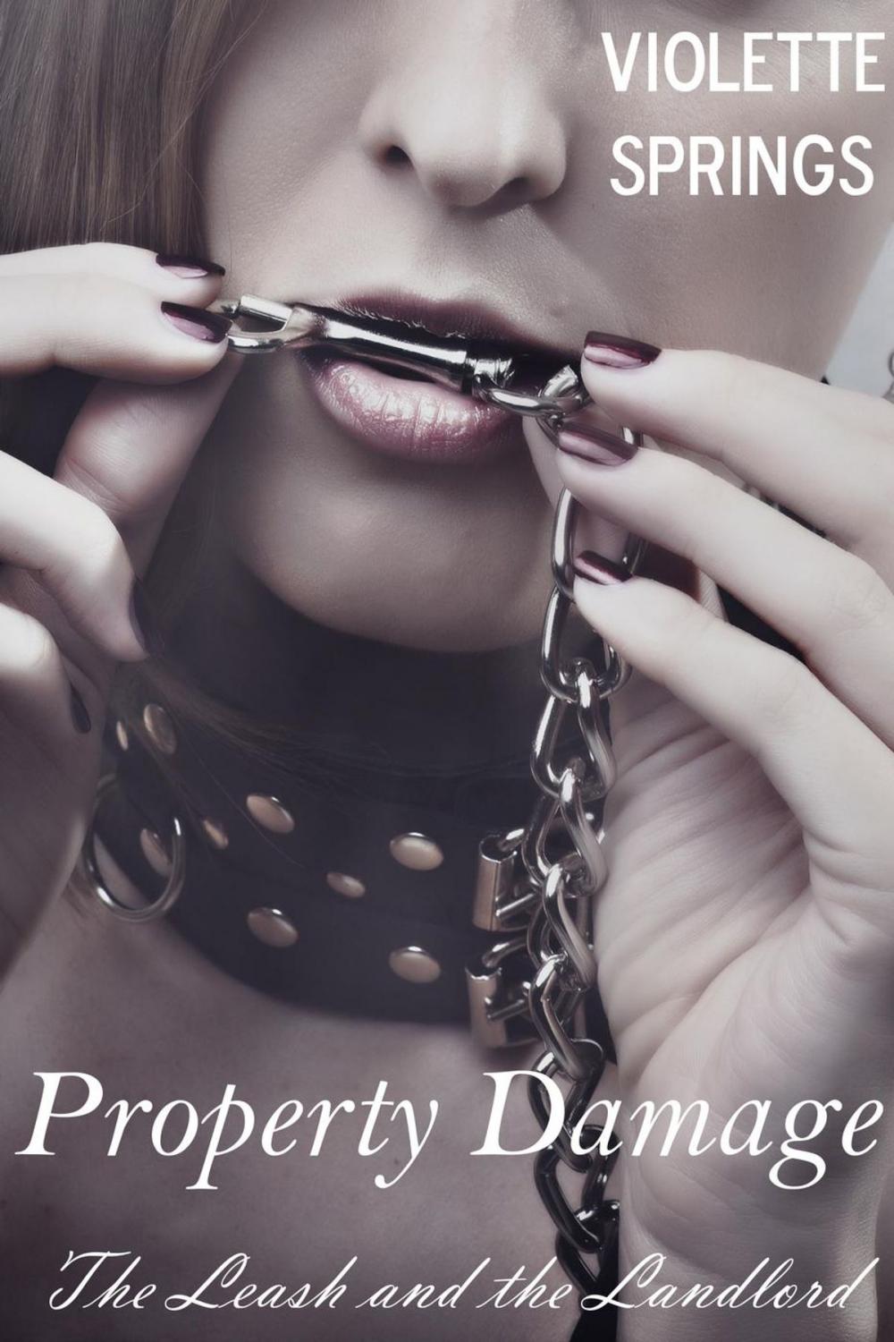Big bigCover of Property Damage: The Leash and the Landlord Part 2 (Billionaire BDSM Erotic Romance)