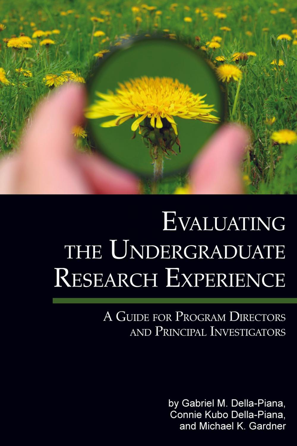 Big bigCover of Evaluating The Undergraduate Research Experience