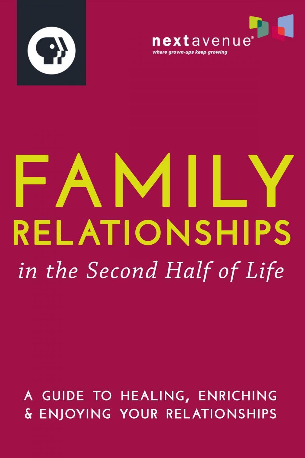 Big bigCover of Family Relationships in the Second Half of Life