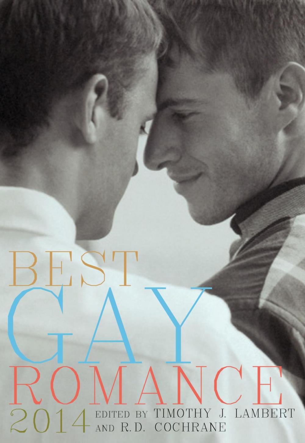 Big bigCover of Best Gay Romance 2014