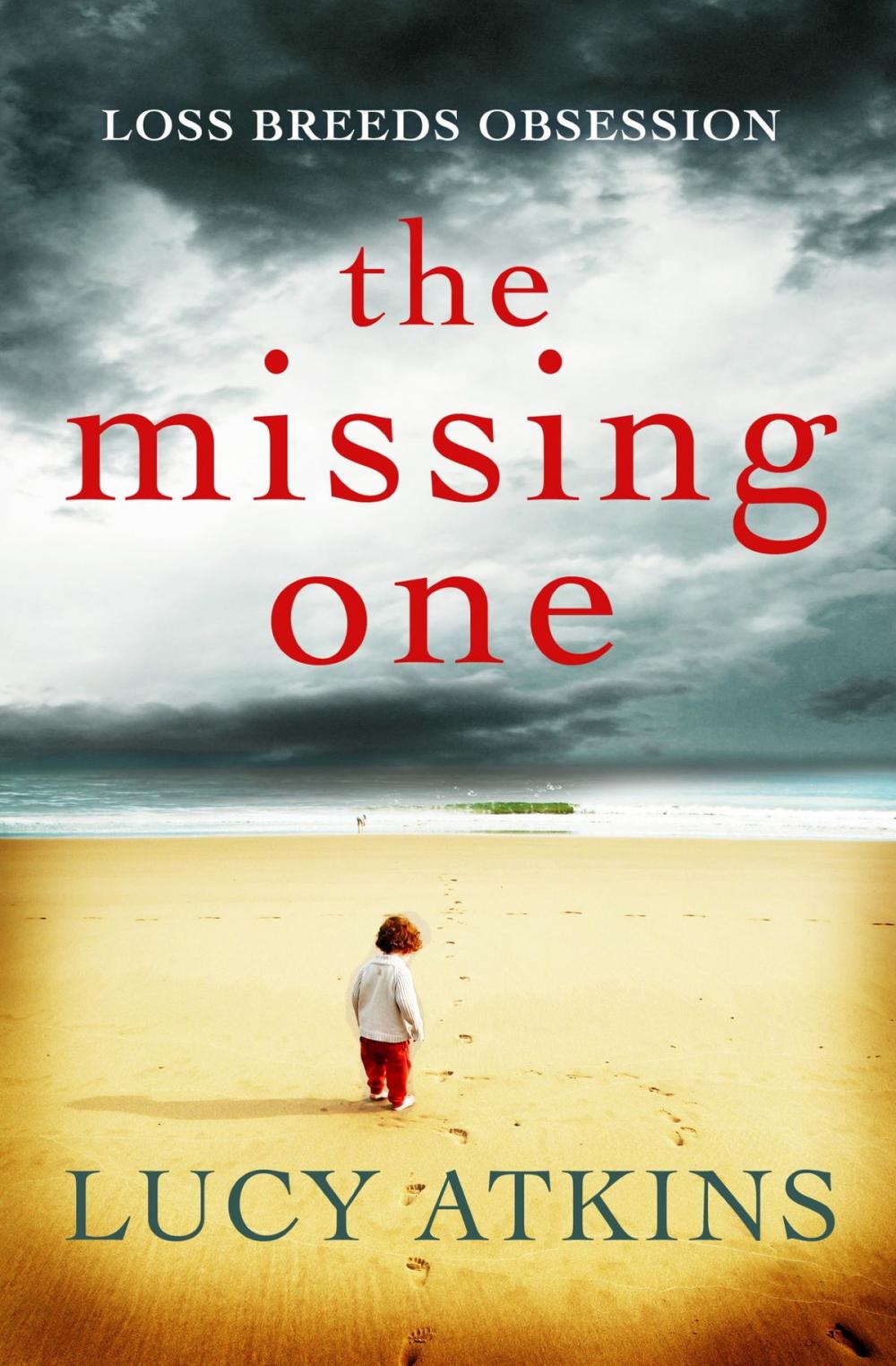 Big bigCover of The Missing One