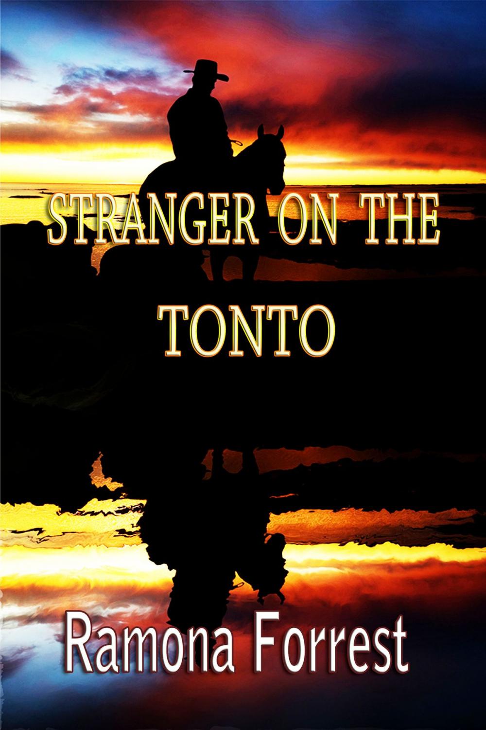 Big bigCover of Stranger on the Tonto