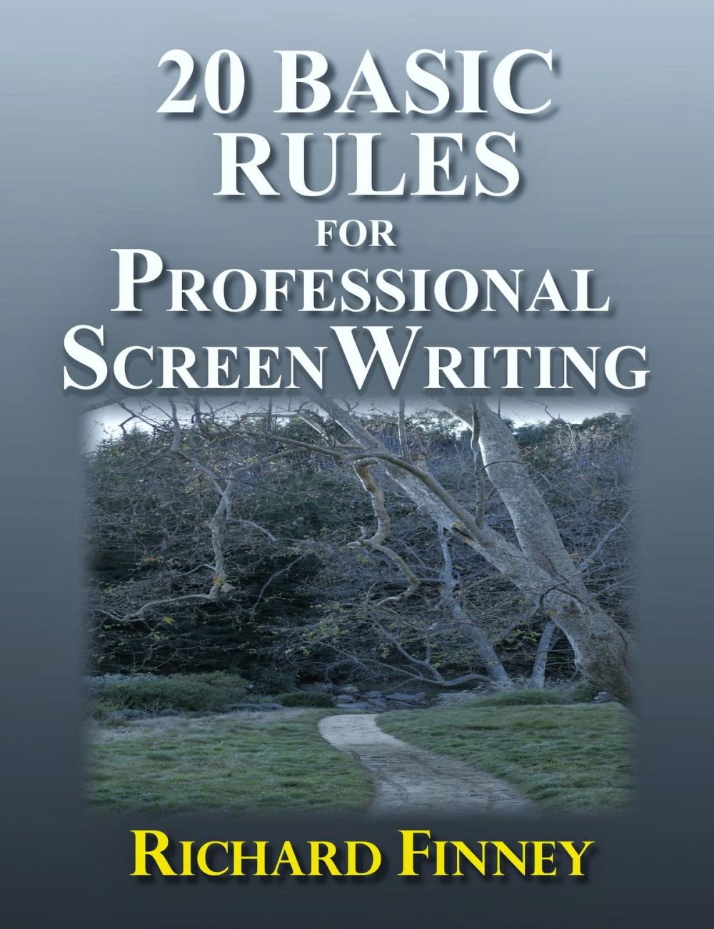 Big bigCover of 20 Basic Rules for Professional Screenwriting