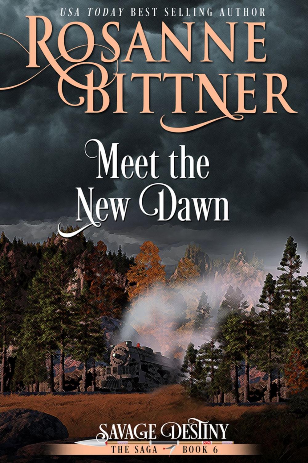 Big bigCover of Meet the New Dawn