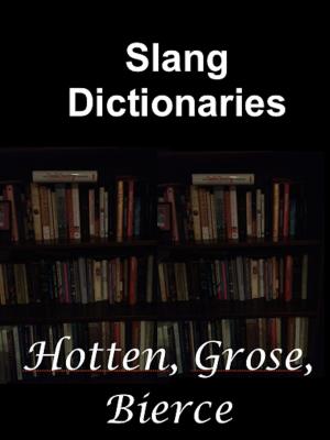 Cover of the book Slang Dictionaries by Nathaniel Hawthorne, Anna Green Winslow, Alice Morse Earle