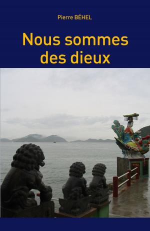 Cover of the book Nous sommes des dieux by Bruce Louthiern
