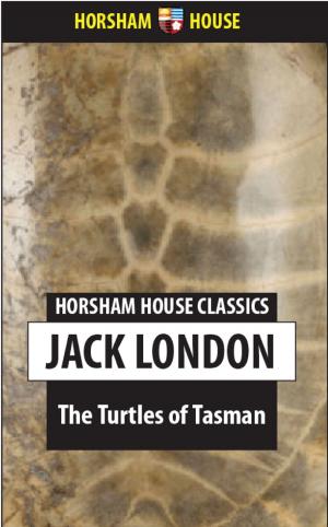 Cover of the book The Turtles of Tasman by William Le Queux
