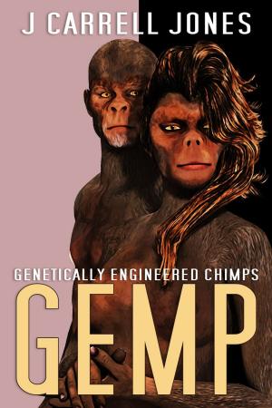 Cover of the book GEMP by Eleanor Oberio, Linuxford Oberio