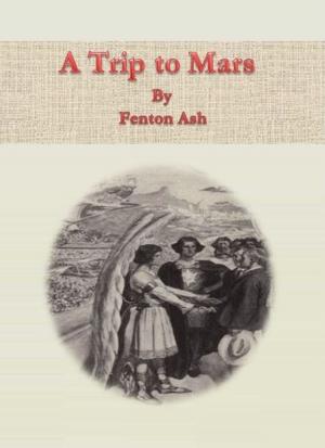 Cover of the book A Trip to Mars by Mark Twain