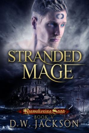 Cover of the book Stranded Mage by Michael G. Manning