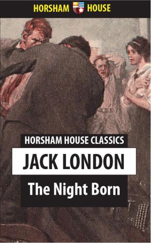 Book cover of The Night Born