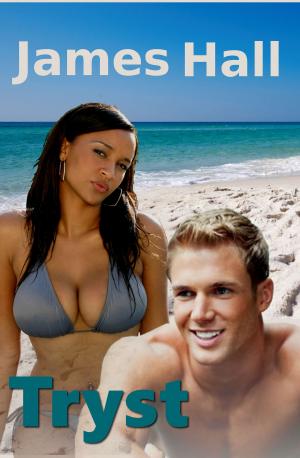 Cover of the book Tryst (Bwwm Interracial Romance) by Skye Genaro
