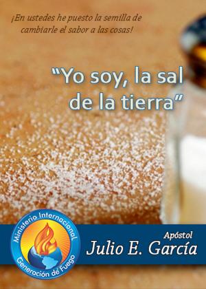 Cover of the book Yo soy, la sal de la tierra by António Lizar