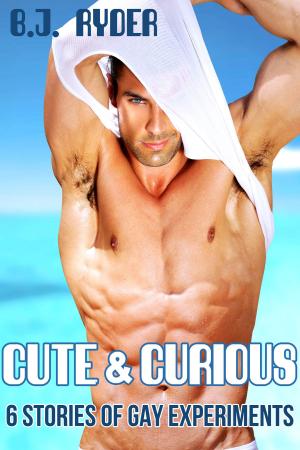 Book cover of Cute and Curious: Six Stories of Gay Experiments