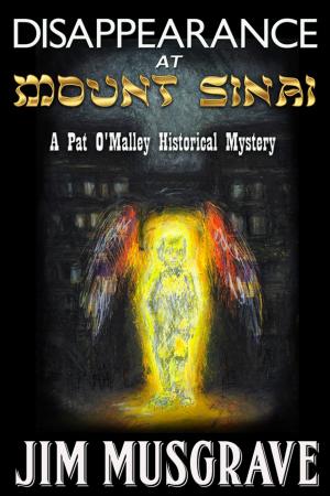 Cover of the book Disappearance at Mount Sinai by Gary J. Cook