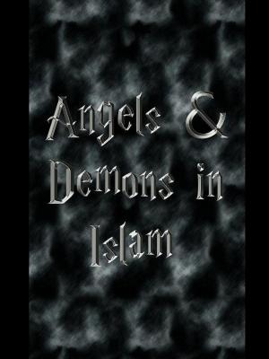 Cover of the book Angels & Demons in Islam by Susan Lloyd