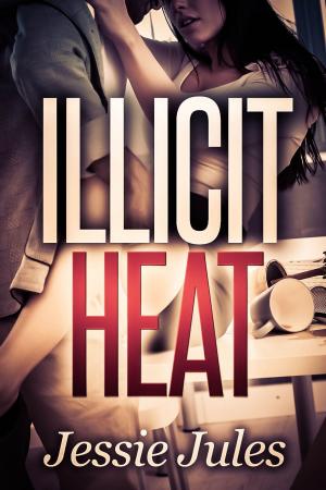 Book cover of Illicit Heat