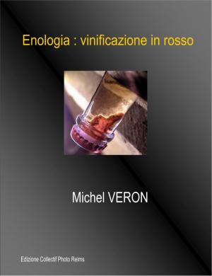 Cover of the book Enologia : vinificazione in rosso by Collectif