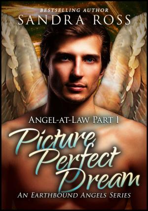 Cover of Picture Perfect Dream: Angel-at-Law 1