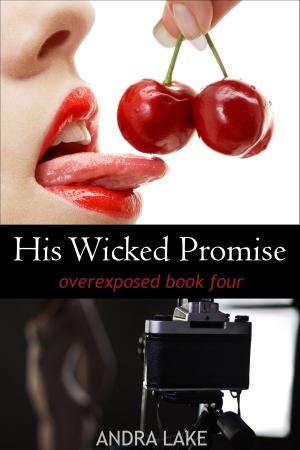 Cover of the book His Wicked Promise by P.J. Leonard