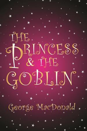 Cover of the book The Princess and the Goblin by Bruno Bernier