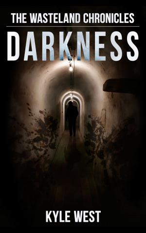 Cover of the book Darkness by Anastasia Marie