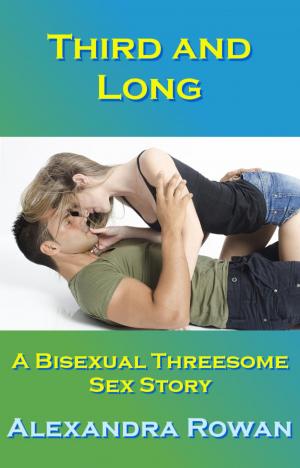 Book cover of Third and Long: A Bisexual Threesome Sex Story