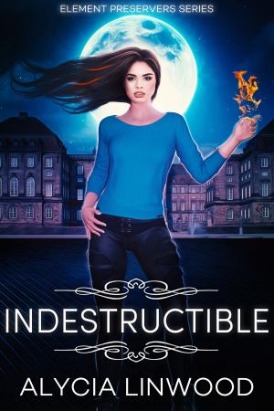 Cover of the book Indestructible by Cathy Spencer