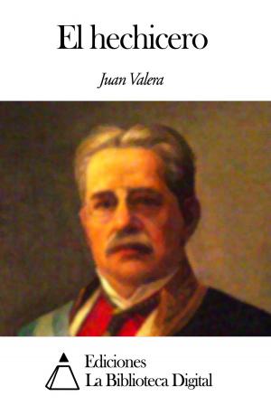 Cover of the book El hechicero by Álvar Núñez Cabeza de Vaca