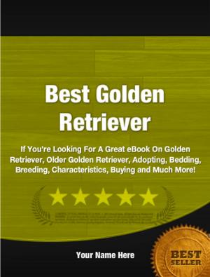 Cover of the book Best Golden Retriever by Celeste G. Wachtel