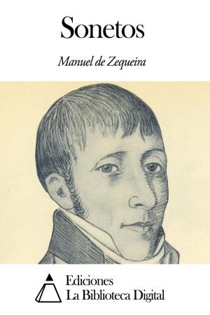 Cover of the book Sonetos by Juan Álvarez Guerra