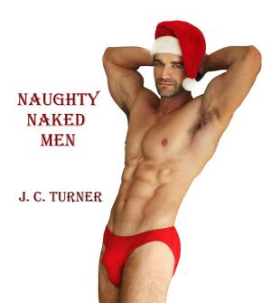 Cover of the book Naughty Naked Men by Monique Marie