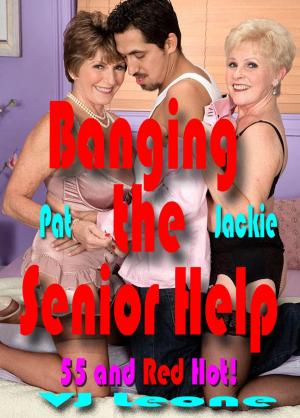 Book cover of Banging the Senior Help