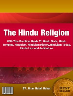 Cover of the book The Hindu Religion by Gerardo M. Johnson