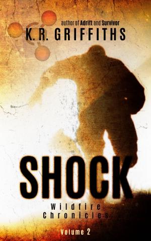 Cover of the book Shock (Wildfire Chronicles Vol. 2) by S.M. Winter