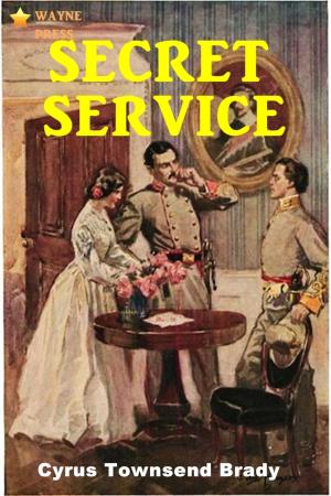 Cover of the book Secret Service by Barry Pain