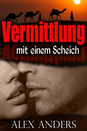 bigCover of the book Vermittlung mit einem Scheich by 
