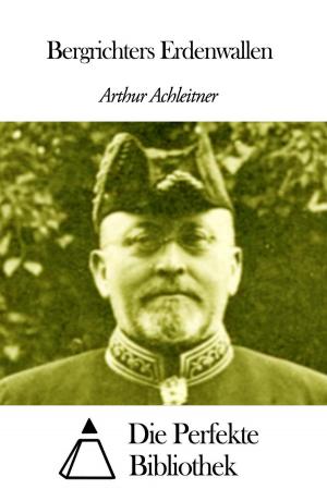 Cover of the book Bergrichters Erdenwallen by Wilhelm Hauff