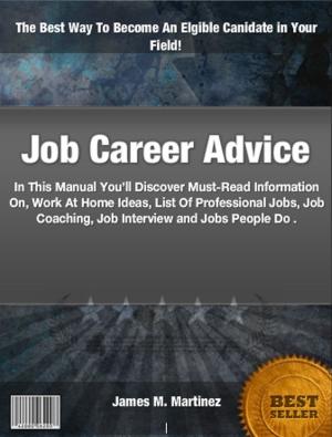 Cover of the book Job Career Advice by William Stroud, Rena Stroud