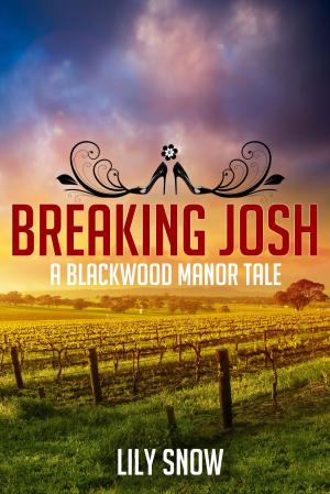 Book cover of Breaking Josh