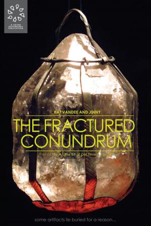 Cover of the book The Fractured Conundrum by Kaitlyn Autofeld