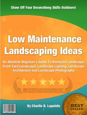 bigCover of the book Low Maintenance Landscaping Ideas by 