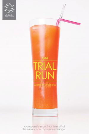 Cover of the book Trial Run by Susie Frei